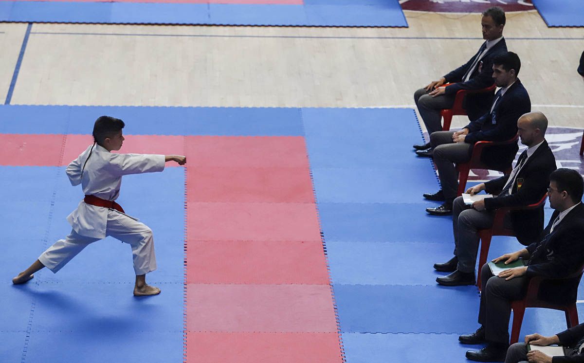 El Campeonato de Andalucía infantil de kárate y de parakárete, en imagenes