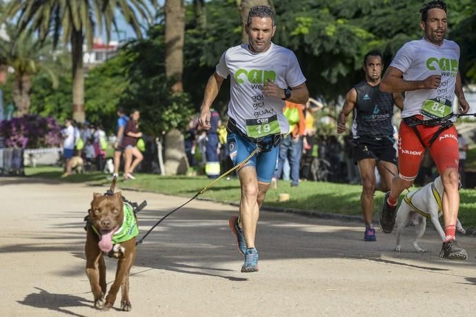 16/12/2018 LAS PALMAS DE GRAN CANARIA. Carrera ...