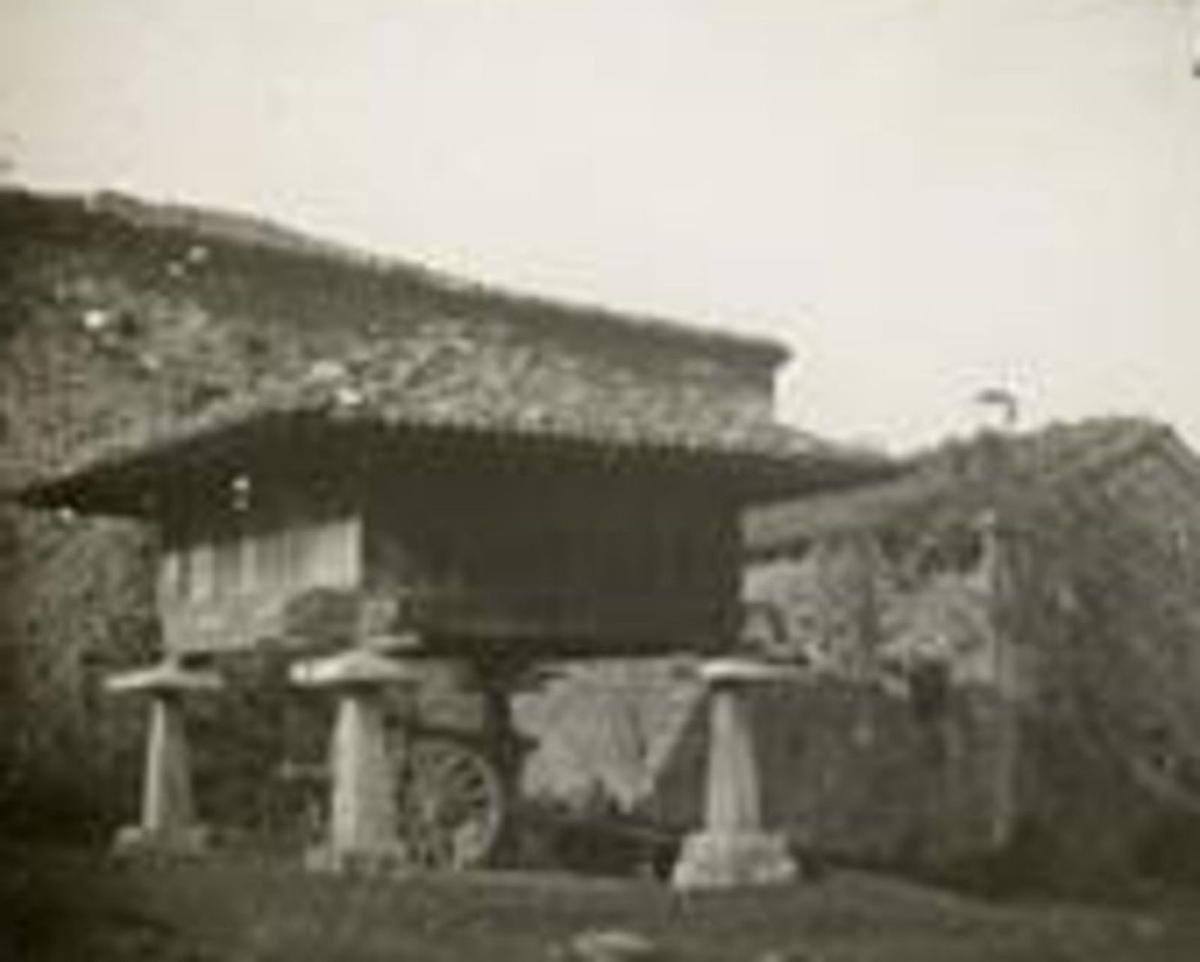 El positivo en el que se inspira la obra.