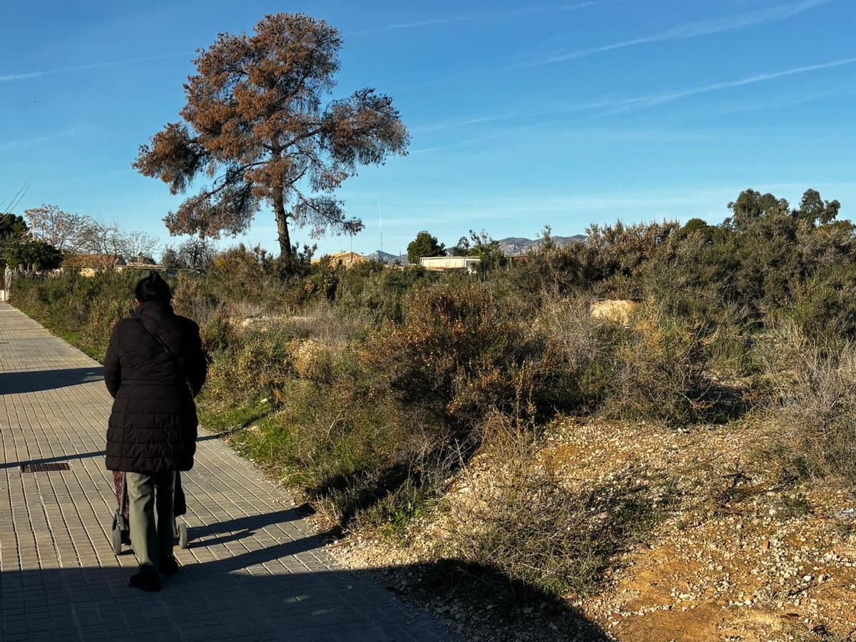 Los matorrales de algunos solares sobrepasan a los viandantes