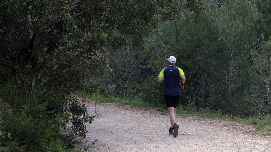 Un paseo por el paraje de la Murta y la Casella de Alzira que no te puedes perder