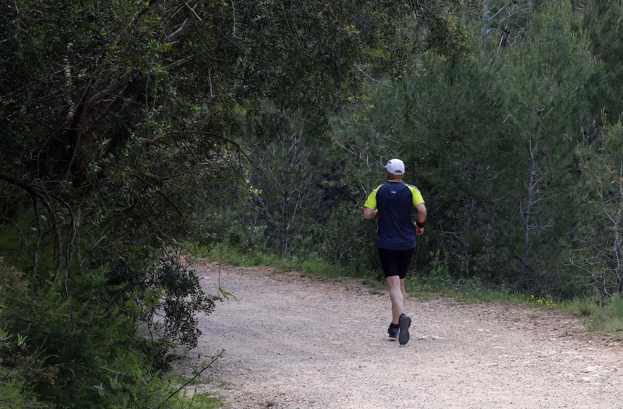 Un paseo por el paraje de la Murta y la Casella de Alzira