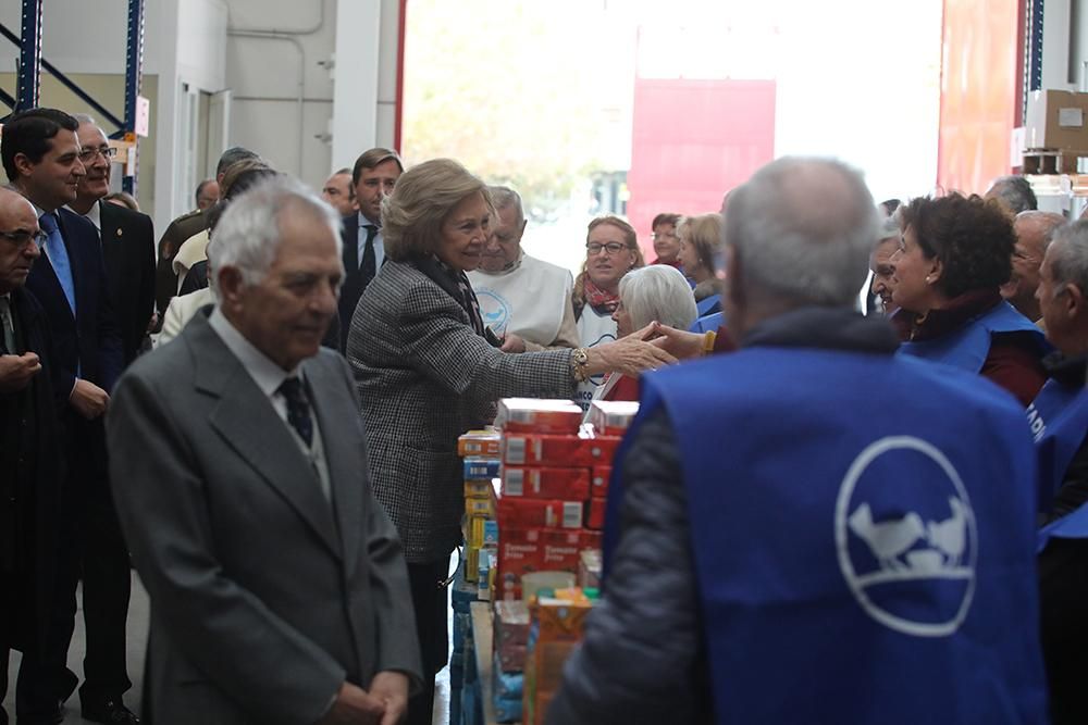 La Reina Sofía visita el Banco de Alimentos en Córdoba