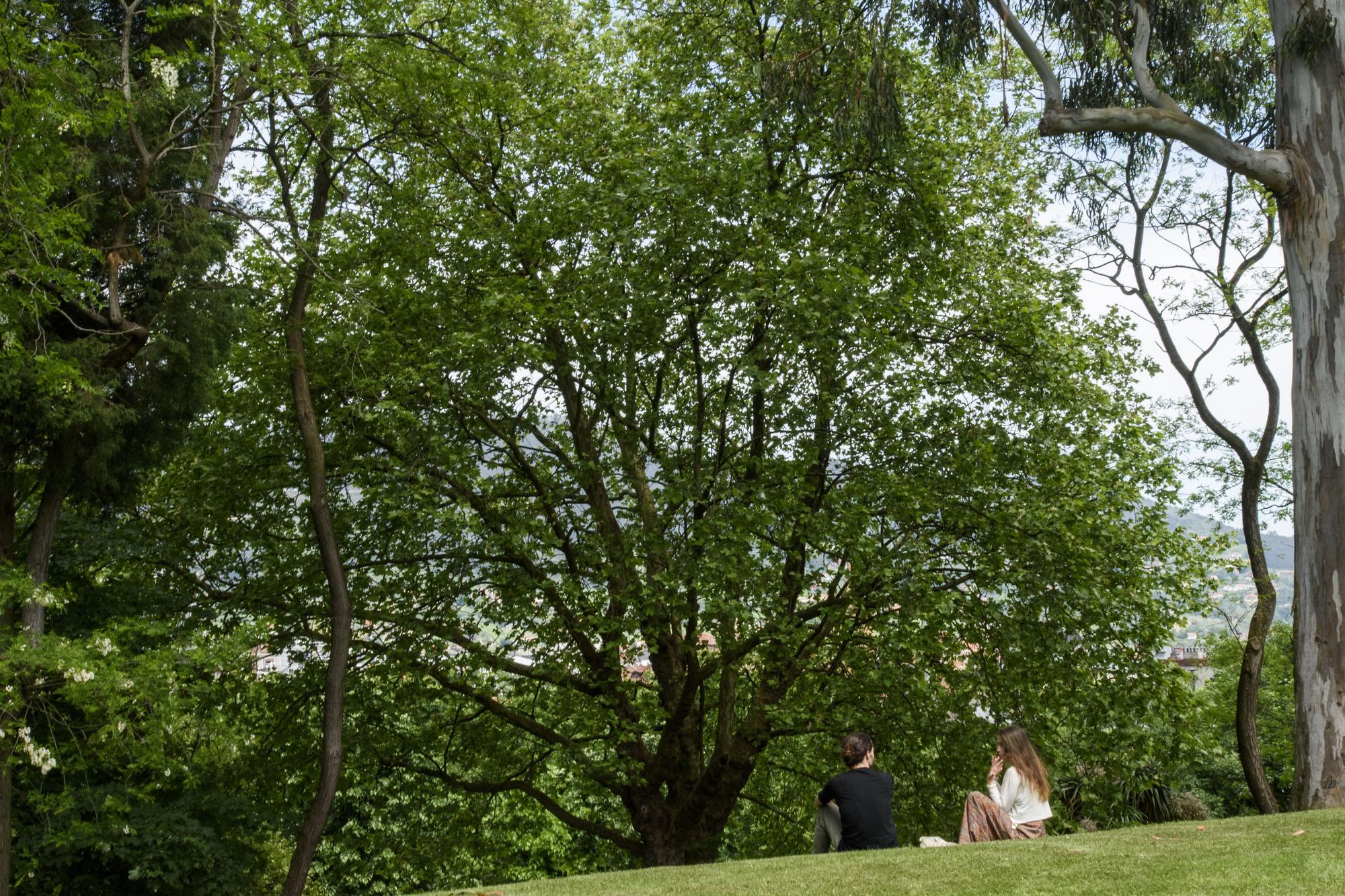 EN IMÁGENES: Así fue el recorrido didáctico en los jardines de La Rodriga en Oviedo