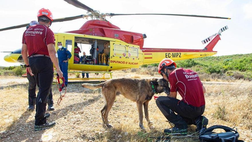 Muere Titan, un perro del Consorcio de Bomberos de Alicante con 