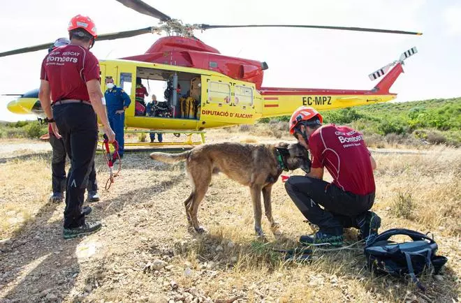 Muere Titan, un perro del Consorcio de Bomberos de Alicante con "una hoja impecable"