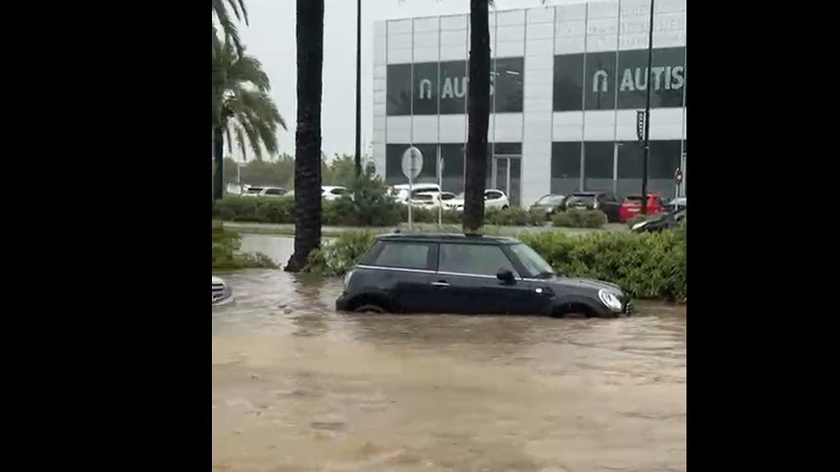Contenedores flotando y calles inundadas en Gandia por la dana Alice