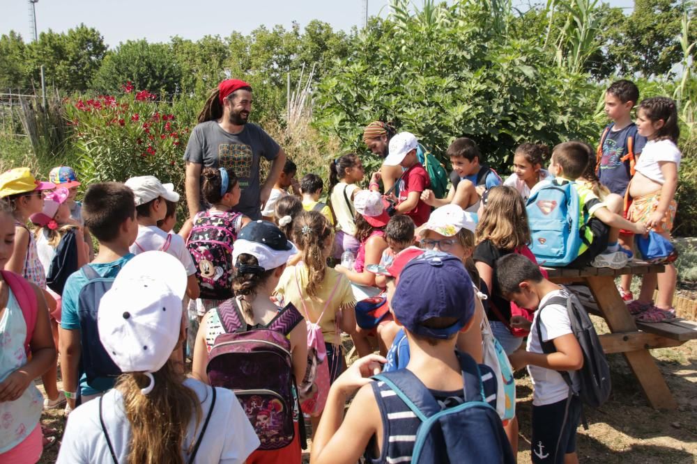 Programa "Apunta't a l'estiu" de Alaquàs