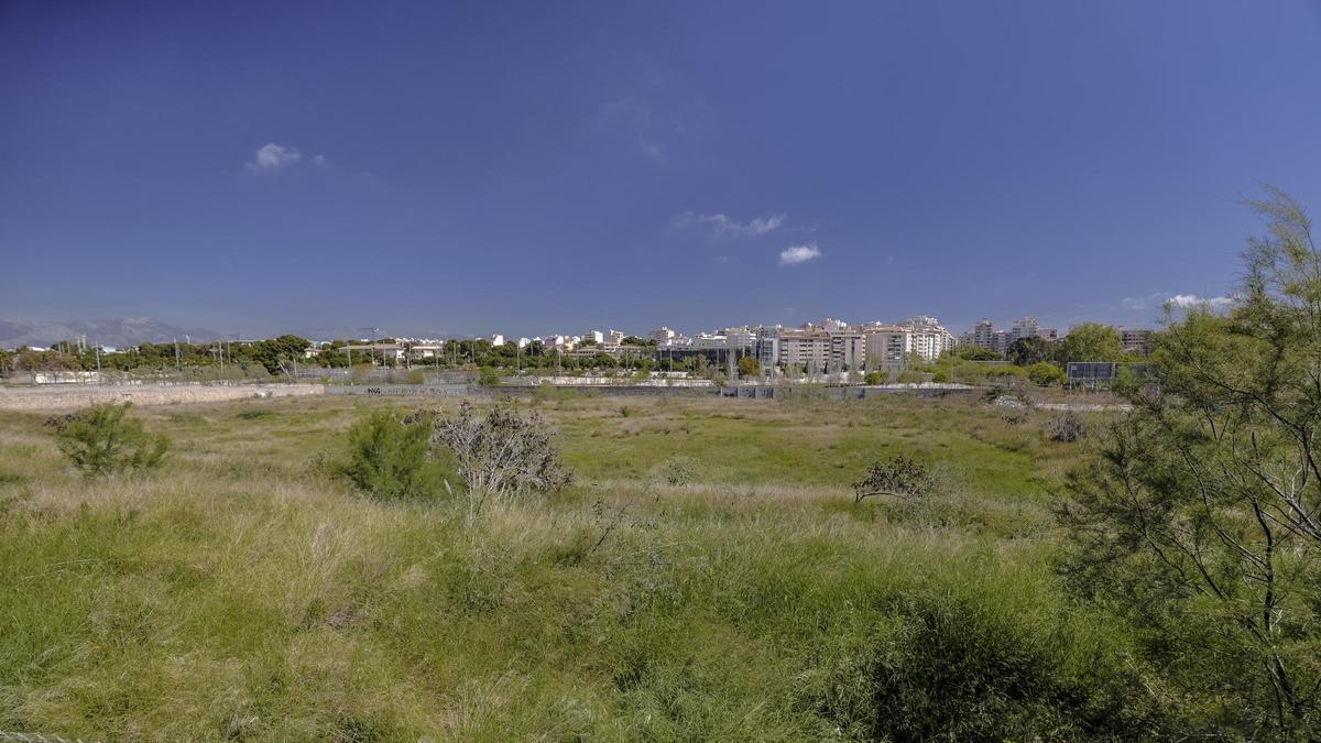 Palma activa el concurso para un pabellón de 2.500 personas y 650 plazas de aparcamiento en el antiguo Lluís Sitjar