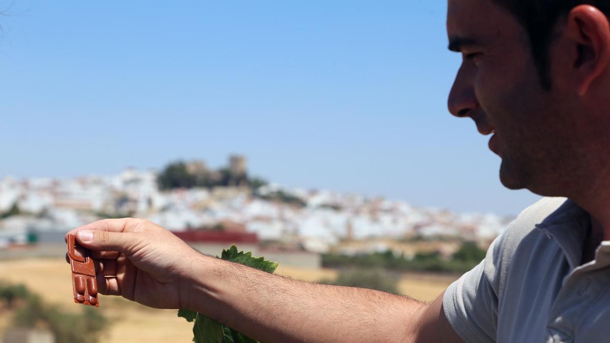 Un técnico de Bodegas San Acacio de Montemayor muestra un difusor de feromonas para combatir la polilla del racimo.