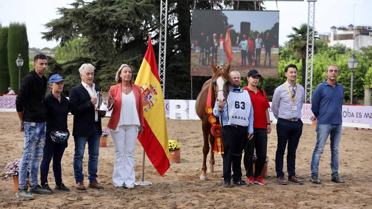 El 42º Campeonato de España de Caballos Árabes cierra con una gran afluencia de público y la participación de más de 100 caballos.