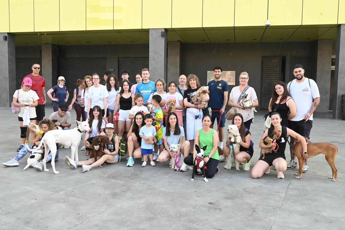 La marcha canina benéfica de Vila-real, en imágenes