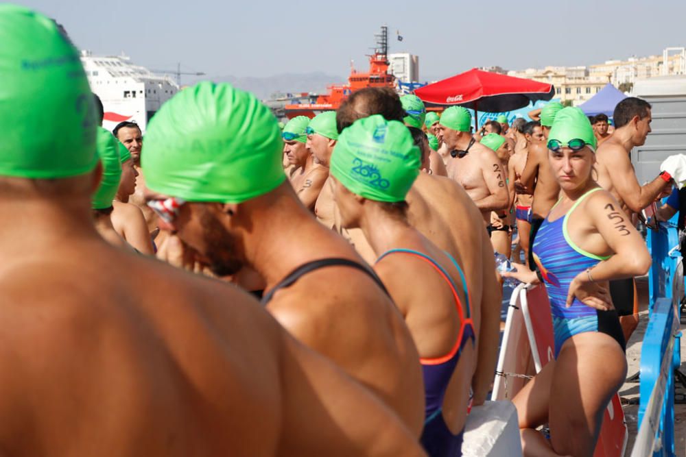 Este domingo se ha celebrado la 60ª edición de la Travesía a Nado del Puerto de Málaga, en la que han participado casi medio millar de nadadores