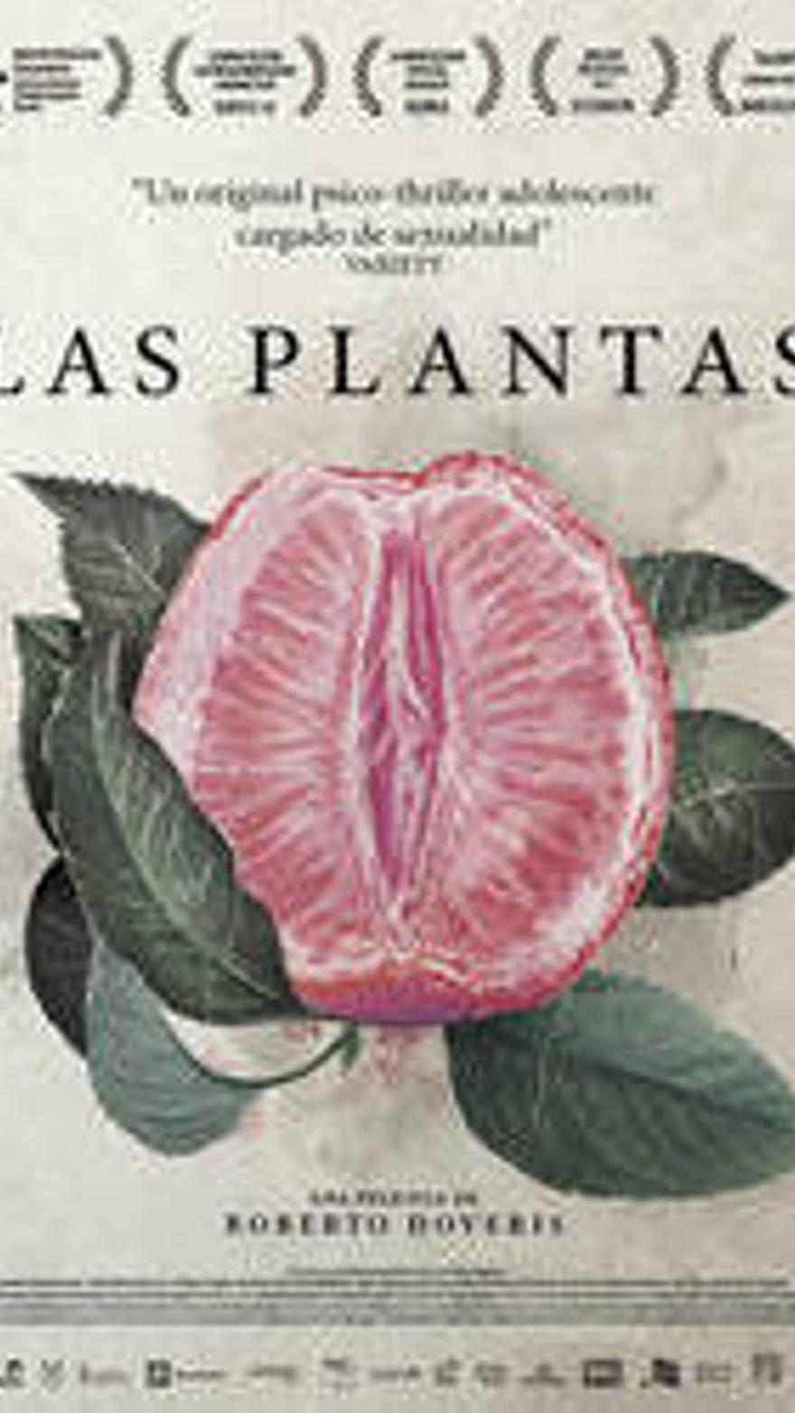 Las plantas