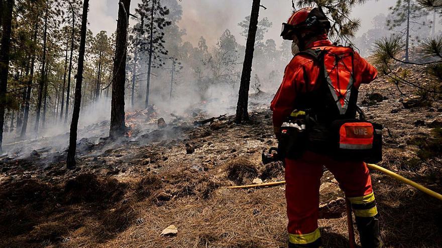 Labores para extinguir el fuego declarado en Arico.