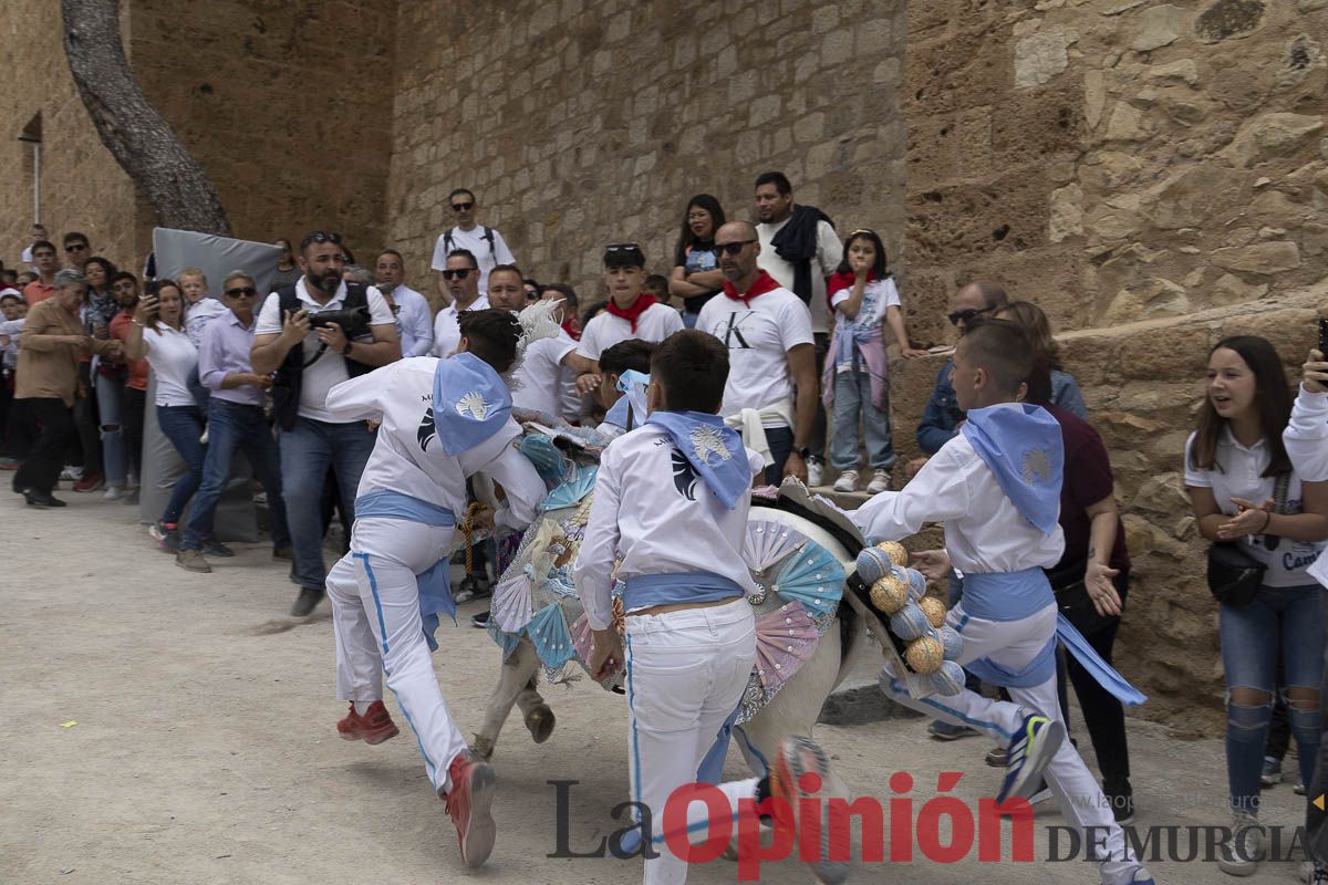 Fiestas de Caravaca | Desfile infantil del Bando de los Caballos del Vino