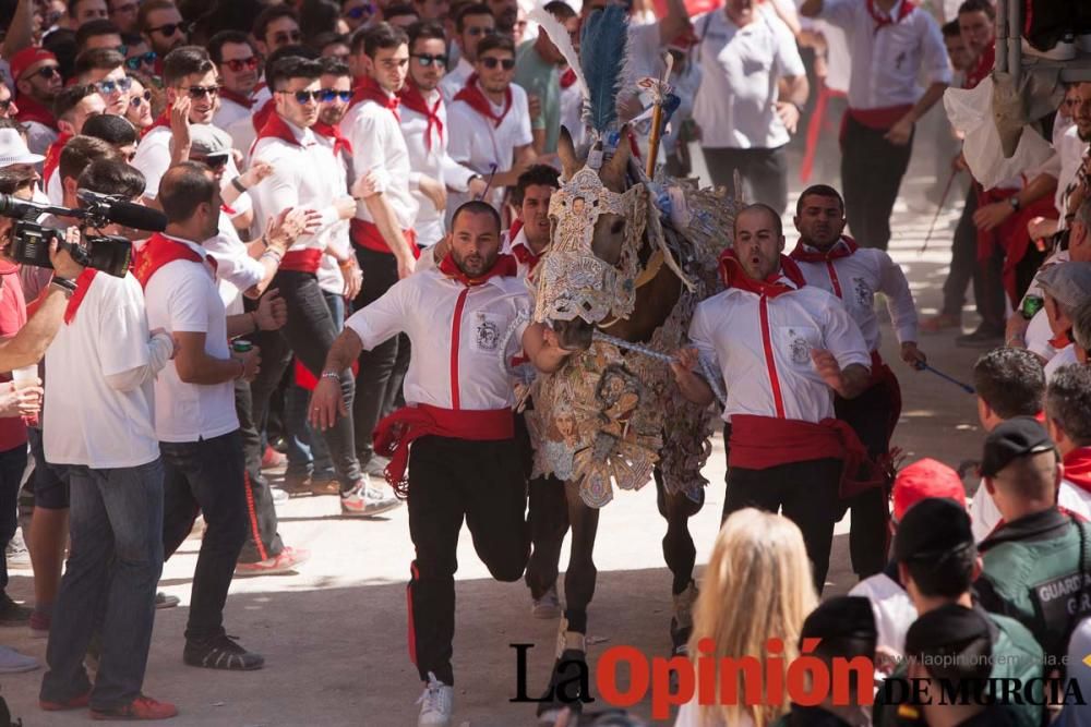 Carrera de los Caballos del Vino