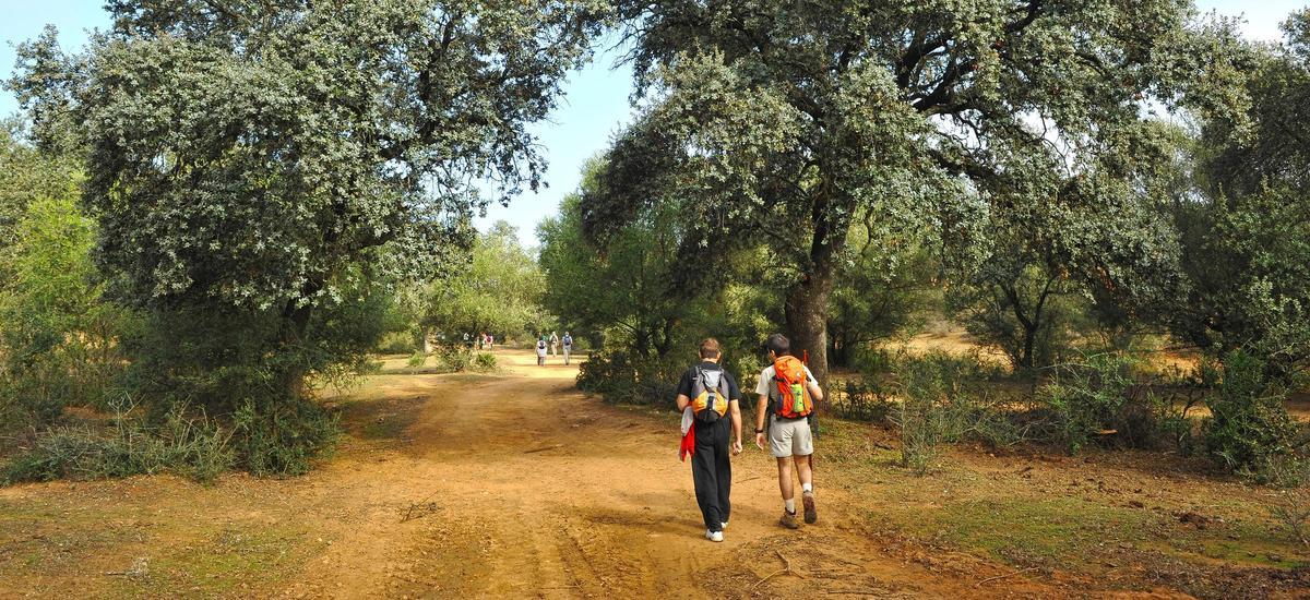 Excursionistes transitant per un camí a la província de Sevilla.