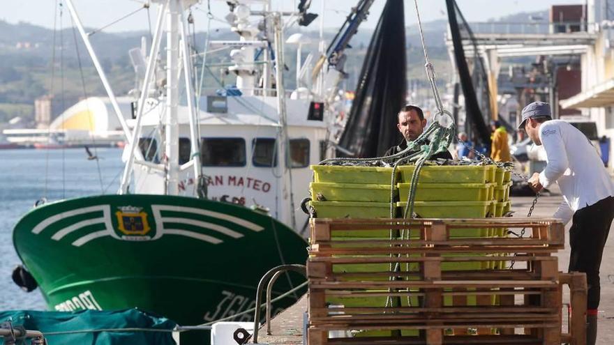 Descarga de pescado en la rula de Avilés.