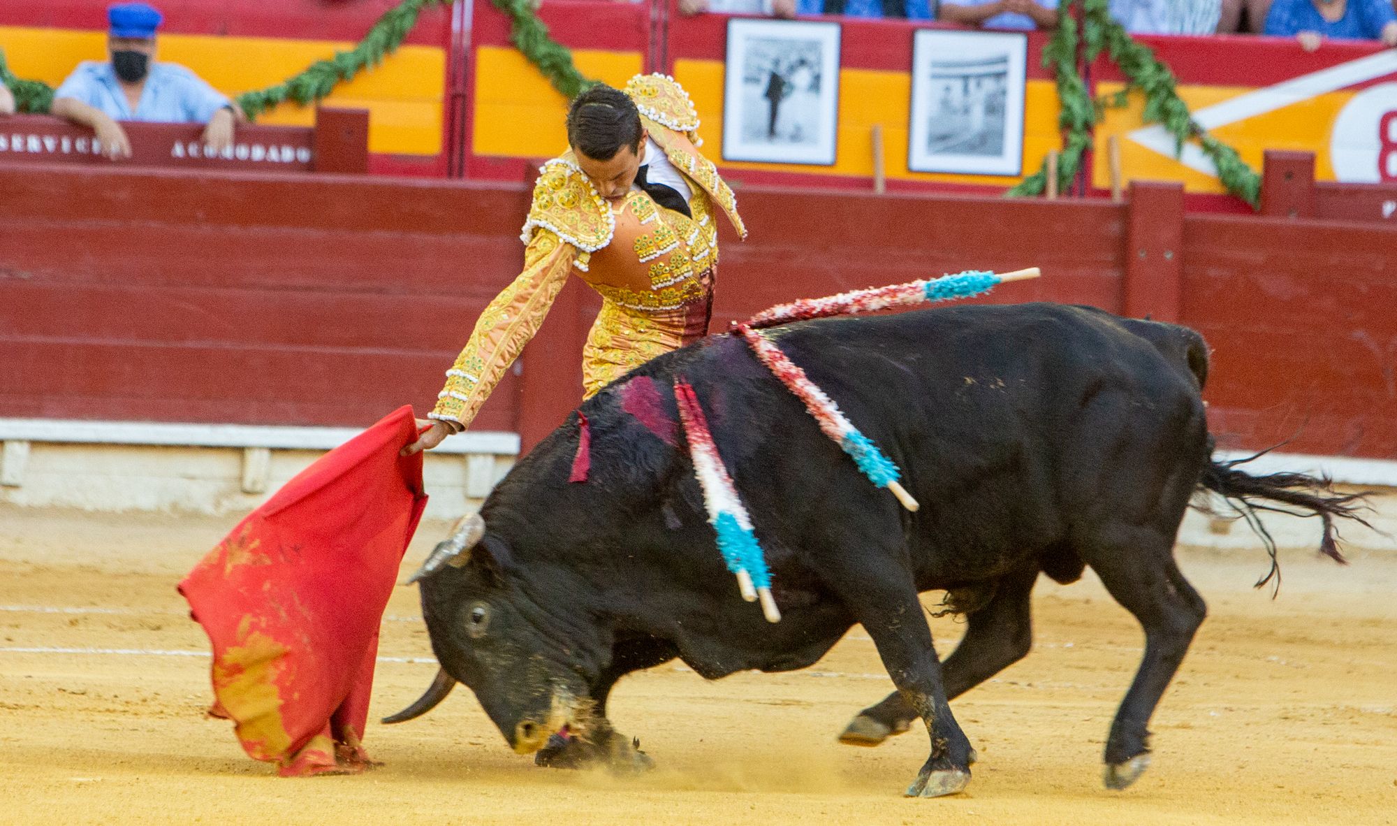 El Juli y Manzanares salen a hombros en la primera tarde de homenaje al maestro de Alicante