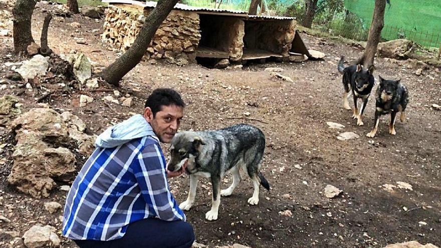 Javier Castilla, el dueño de los perros lobo fugados, en su finca con sus animales.
