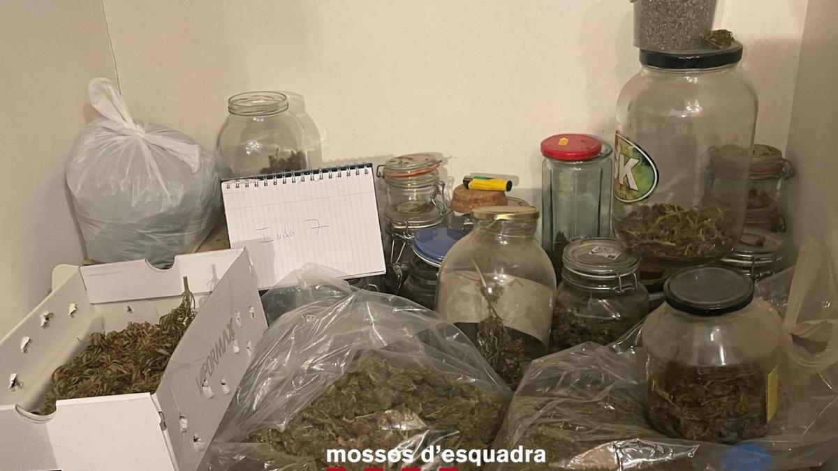 Part de la droga que els mossos van intervenir a la Bisbal