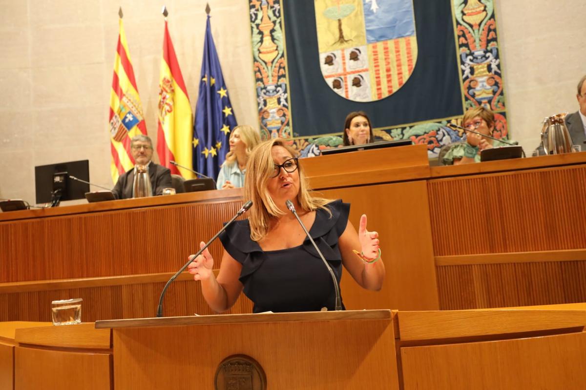 Mayte Pérez, portavoz del PSOE en las Cortes de Aragón.