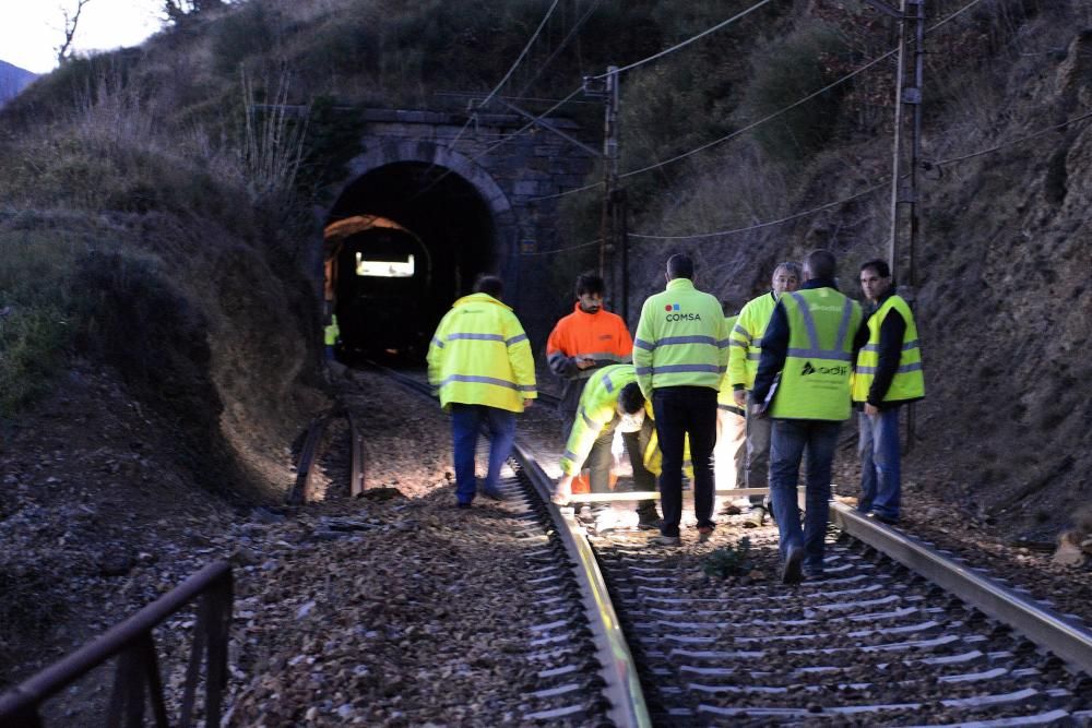 Descarrila un tren de mercancías en Lena