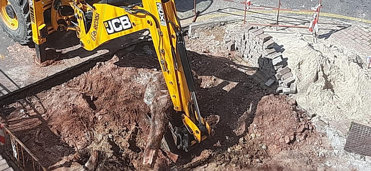 Adiós a un árbol de Jiménez de Quesada