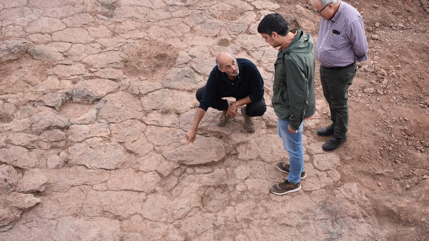 Hallan en Morella huellas gigantescas de un dinosaurio de 13 metros