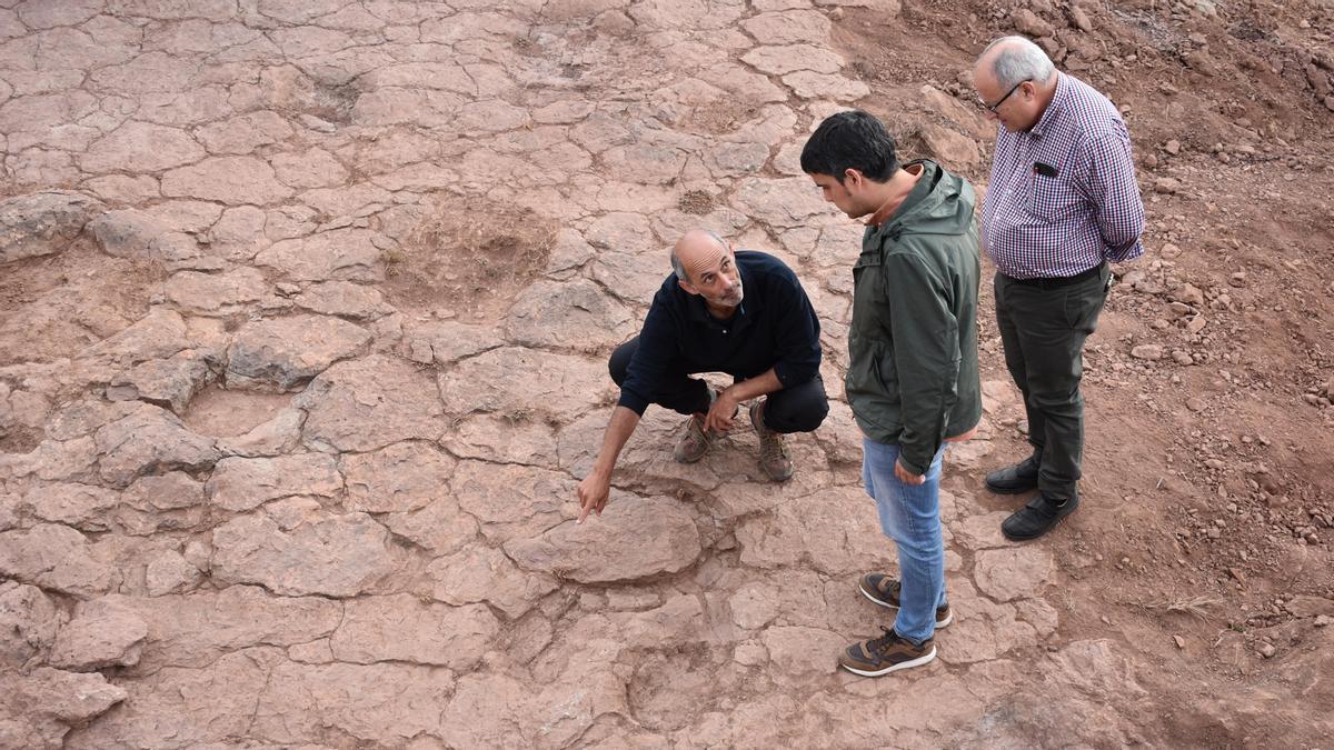 Descubrimiento de una gran huella de dinosaurio en Morella