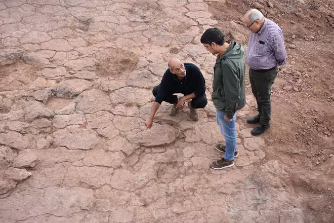 Hallan en Morella huellas gigantescas de un dinosaurio de 13 metros