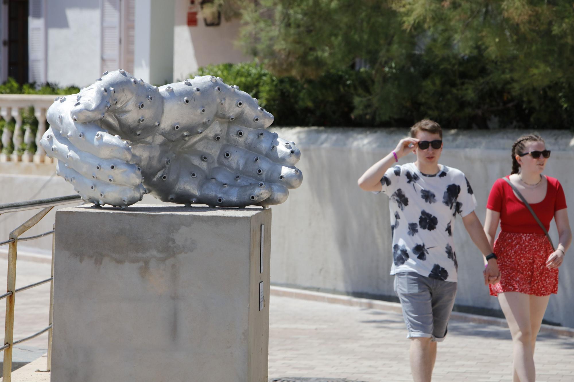 Frühlingsgefühle an der Promenade von Cala Ratjada