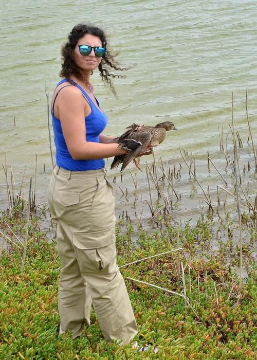 GARZA ÁNADE TORTUGA SUELTA CHARCA MASPALOMAS