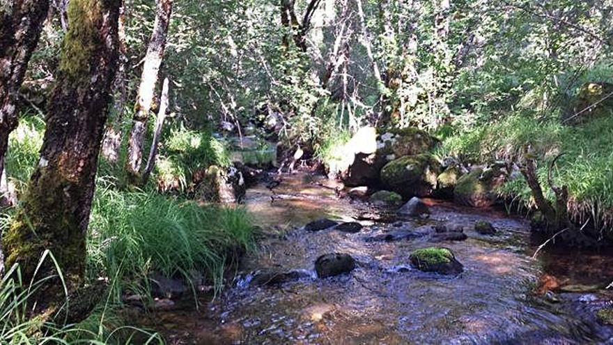 Zona afectada por el proyecto energético de Endesa en la cuenca del río Barjacoba.