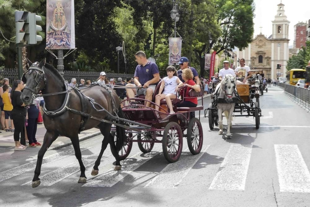 Desfile del Día del Caballo en Murcia