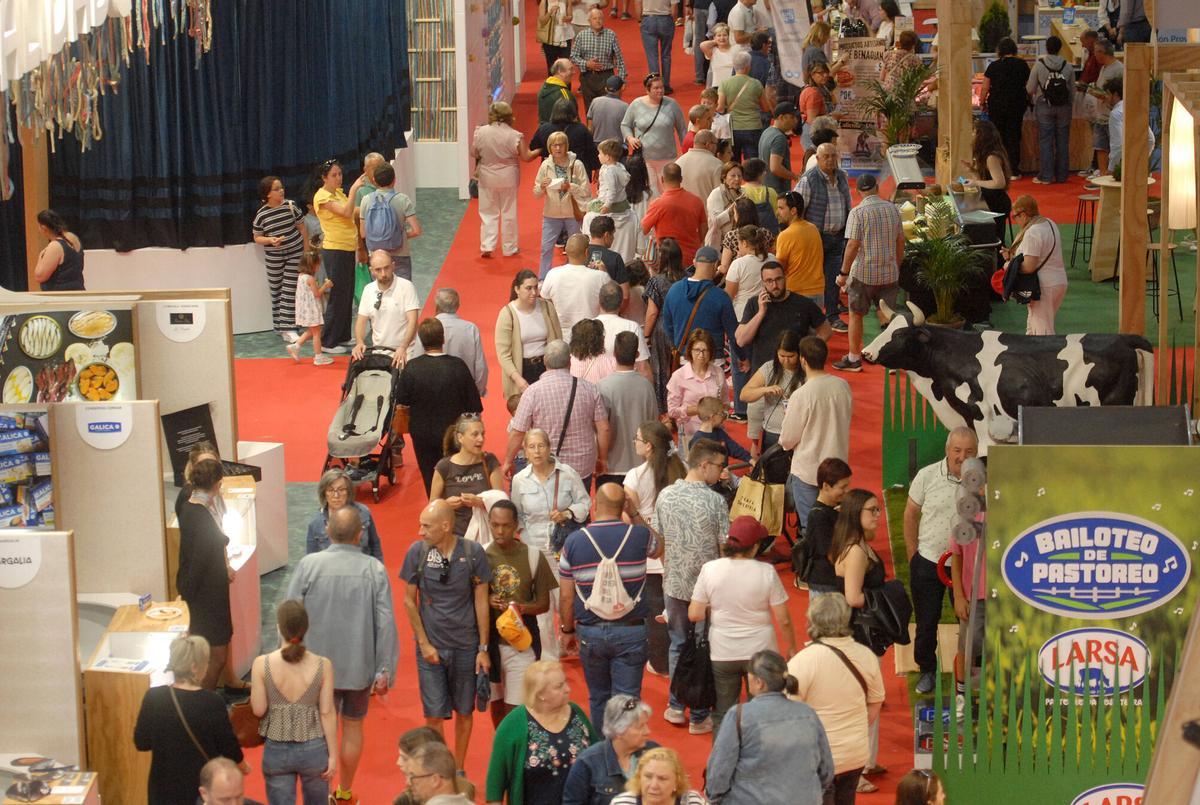 Actividades en la última jornada de la feria