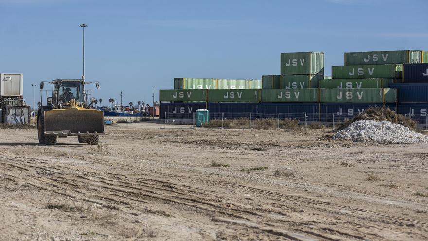 La promotora de la piscifactoría del puerto de Alicante se prepara para crecer en el exterior