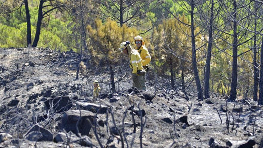 Aspecto que presentaba esta mañana la zona de Benahavís afectada por un incendio forestal.