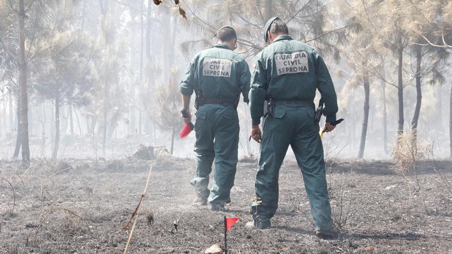 Agentes del Seprona en un incendio en Galicia // Santos Alvarez