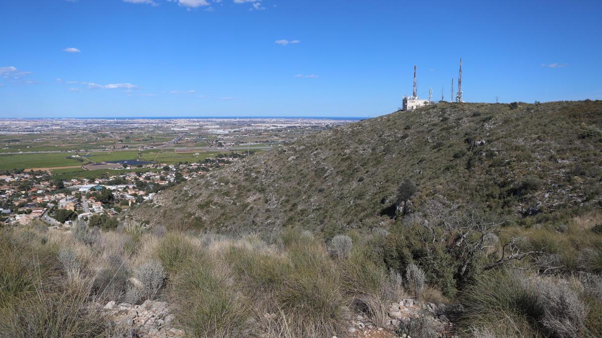 La vegetación vuelve a brotar en la Serra Perenxisa diez años después del incendio.