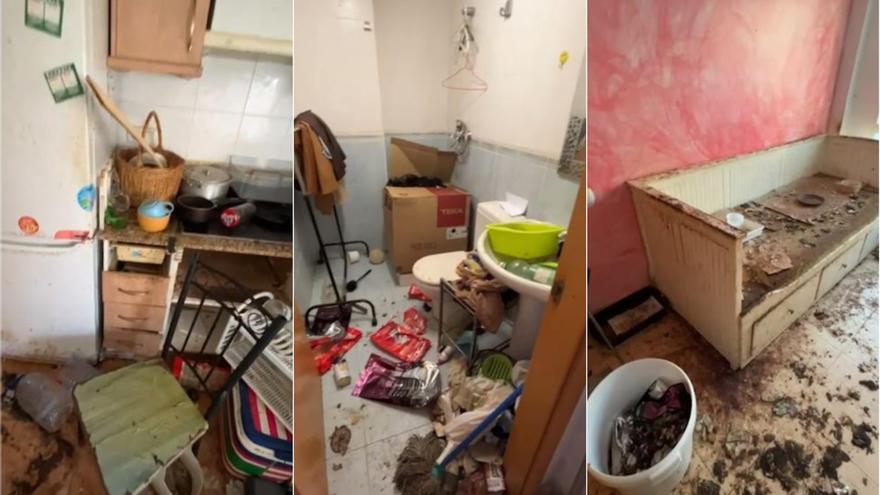 El estado de una casa okupada en Castellón durante cinco años: 30 gatos, suciedad extrema y destrozos irreparables