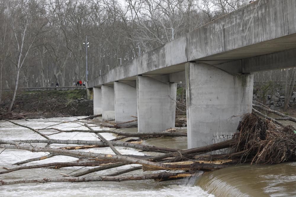 Recollida de residus a la llera del Ter a Girona