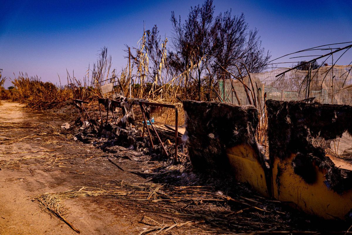 El 1 de julio de 2025, un día después del incendio, la zona de barracas cercana al Port de Barcelona muestra los restos de lo que fue un área habitable. Se observan vestigios de materiales de construcción, huertas y otros enseres, testigos silenciosos de la vida que allí existió antes del fuego.