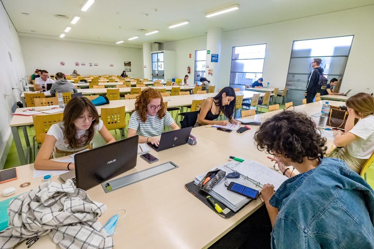 Alumnos en la biblioteca de la UA.