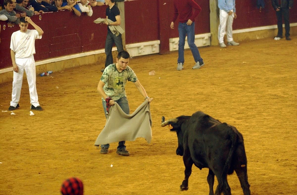 Los festejos taurinos