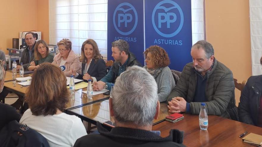 Teresa Mallada respalda a los concejales del PP en Somiedo tras las críticas del Alcalde