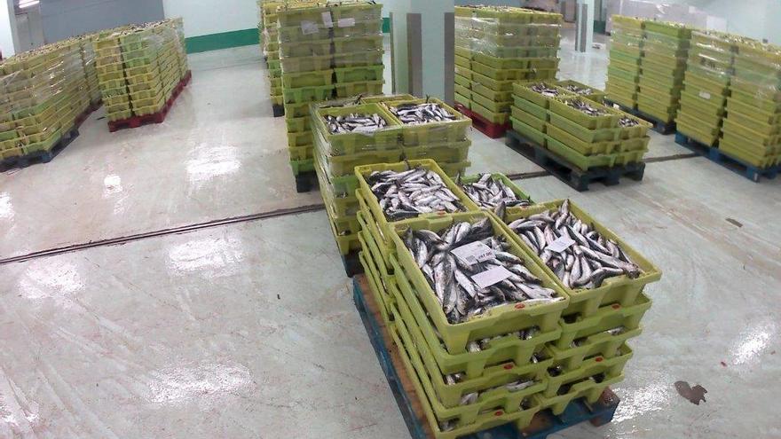 La Guardia Civil se incauta de 3.227 kilos de sardina en A Coruña