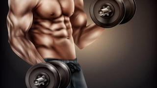 Lo que debes saber sobre ganar masa muscular sin comer proteína animal