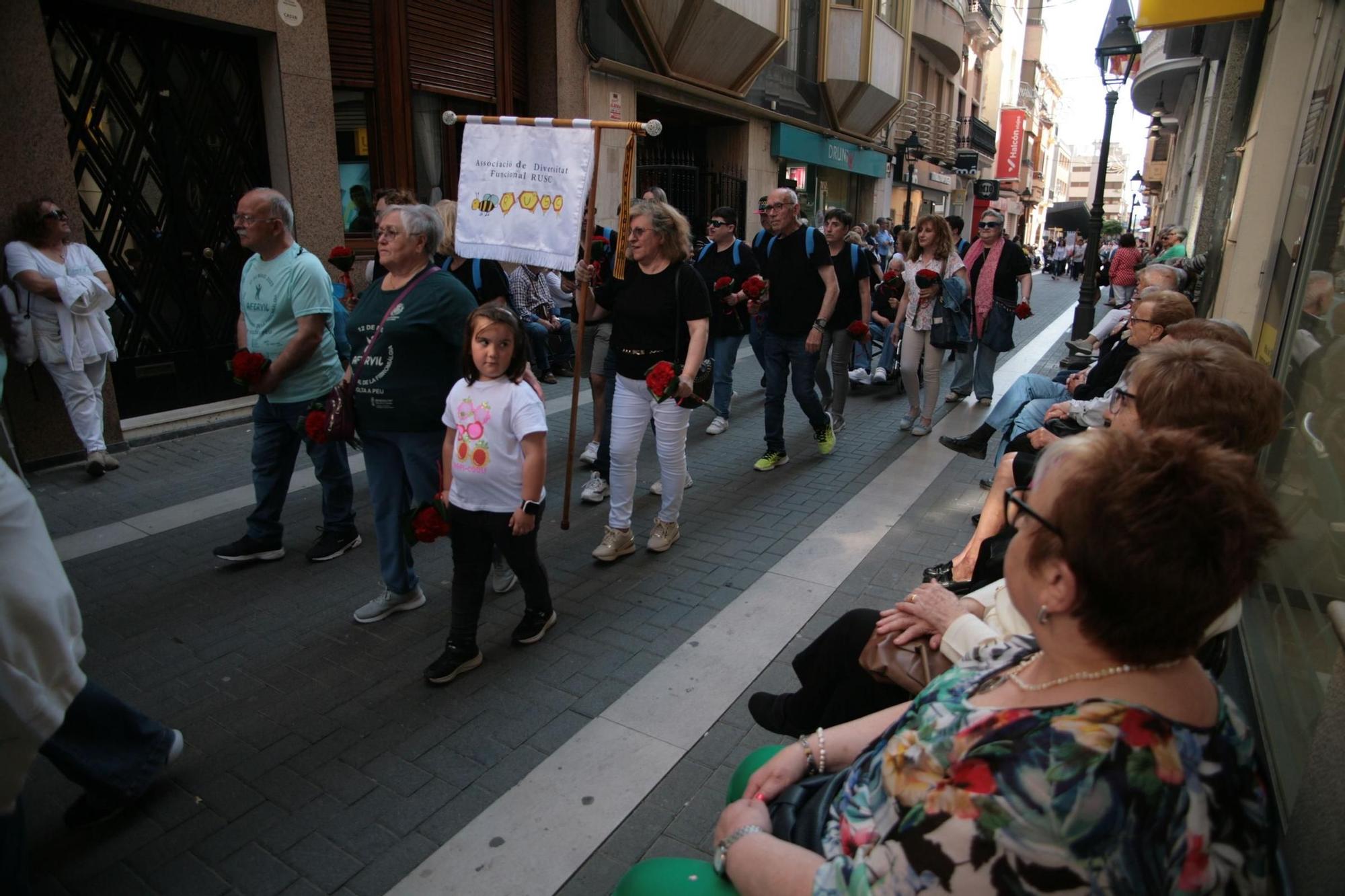 Galeria de fotos de l'ofrena de flors a Sant Pasqual en Vila-real